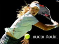 Wallpapers Alicia Molik