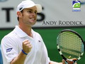 andy roddik Tenis