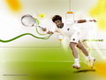 Wallpapers janko tipsarevic