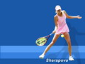 Wallpapers Maria Sharapova