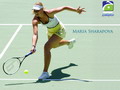 Wallpapers Maria Sharapova