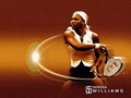 Wallpapers serena williams