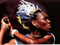 Wallpapers Venus Williams