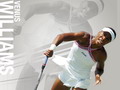 Wallpapers Venus Williams